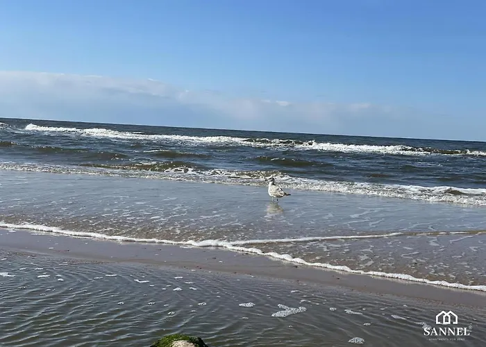 アパート Premium Marin Z Dostepem Do Basenow,strefy Saun, Jacuzzi - Pinea Pobierowo-sannel For Rent *